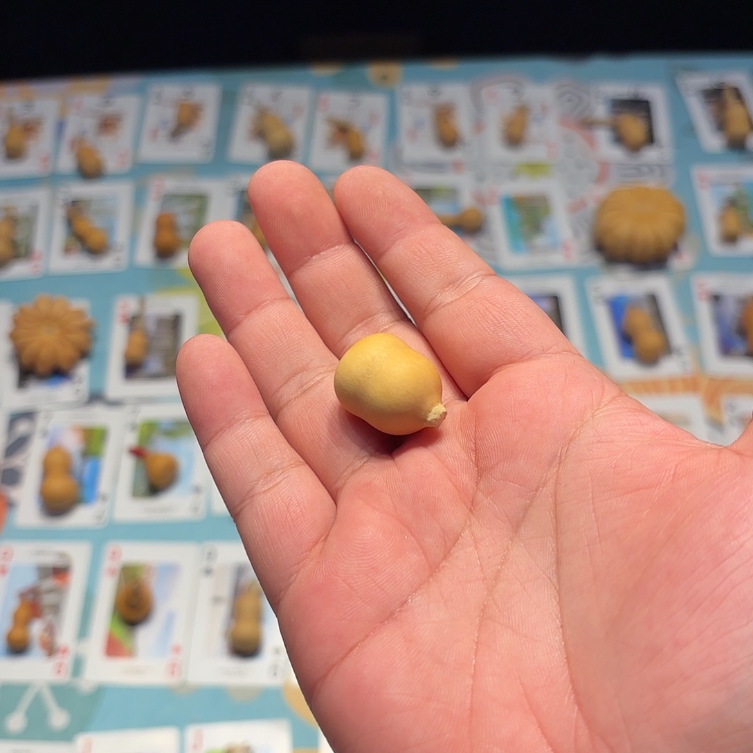 *****哈哈哈哈哈哈哈哈哈哈哈