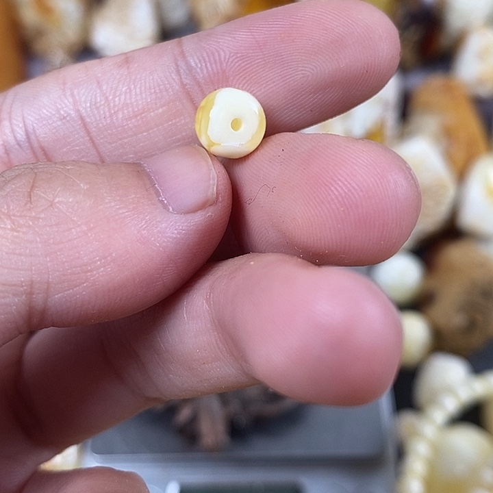 未镶嵌琥珀裸石我