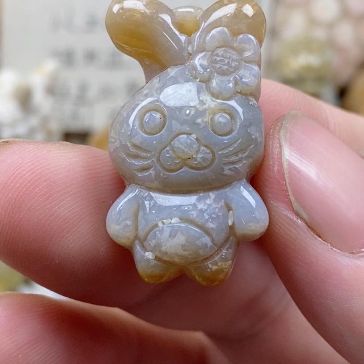 颈饰未镶嵌硅化珊瑚（珊瑚玉）小