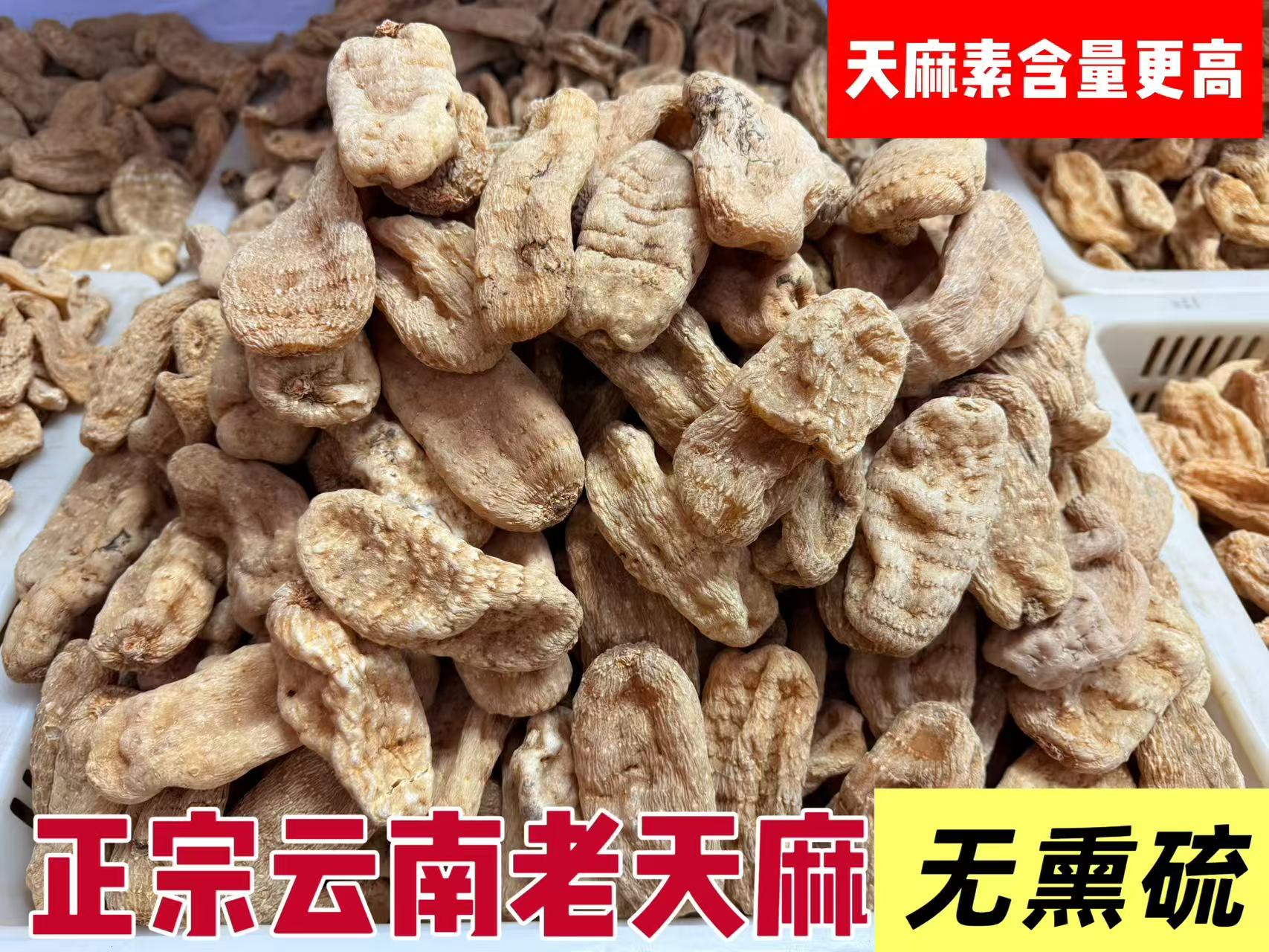正宗云南天麻精选大果