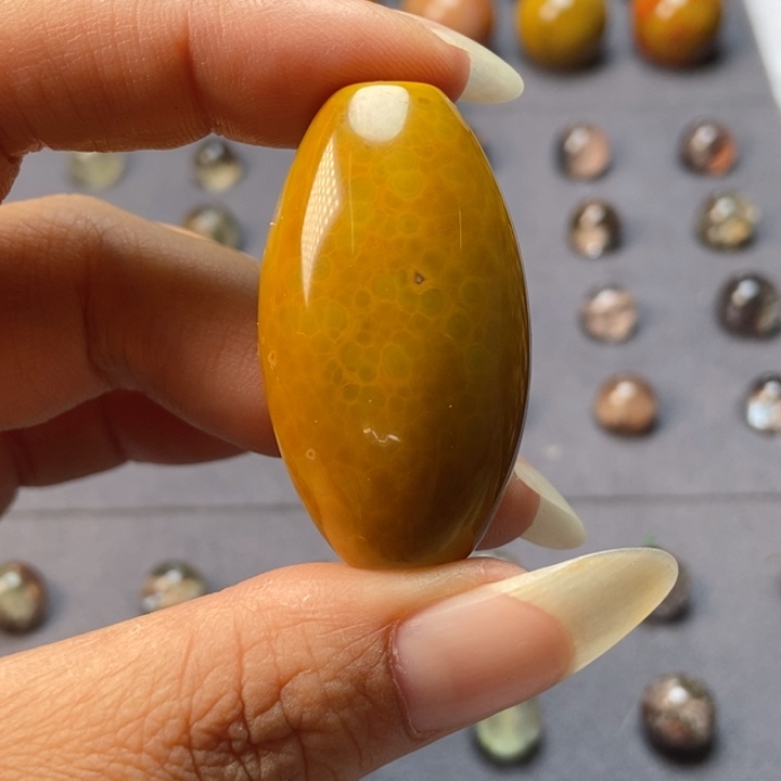 未镶嵌颈饰玛瑙/玉髓战国红