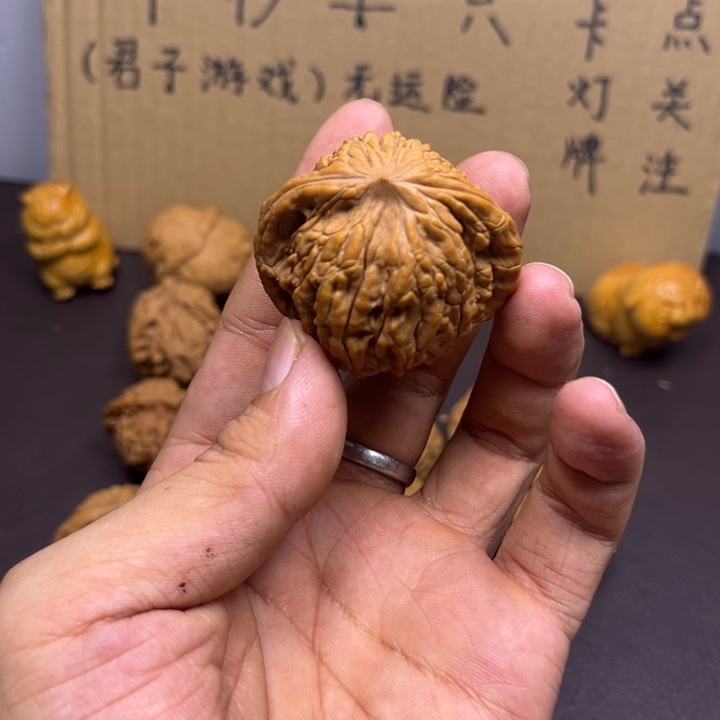 有***角菩提籽类麦穗骨头蛇头