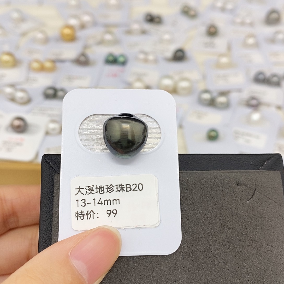 假***号海水珍珠耳饰未镶嵌13-14mm大溪地（无鉴赏）
