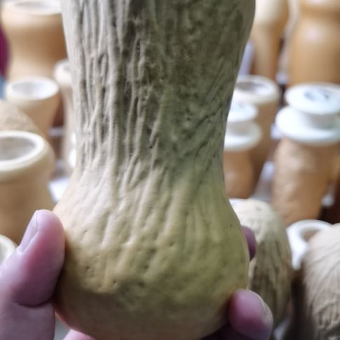 可***-三木荸荠饼葫芦葫芦