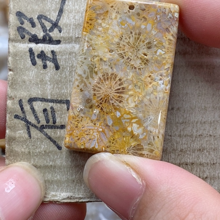 颈饰未镶嵌硅化珊瑚（珊瑚玉）独**?