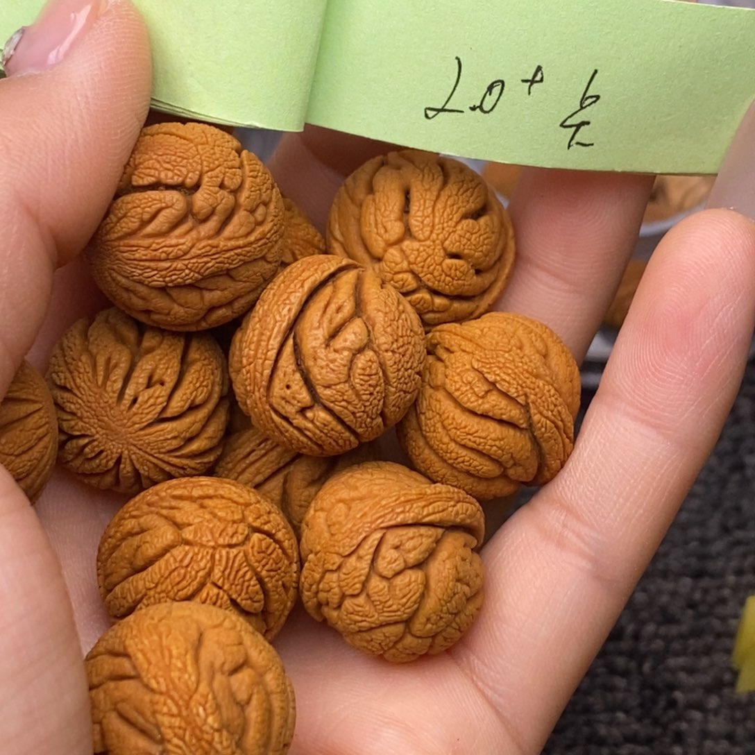 秦岭山脉龙纹桃核 13