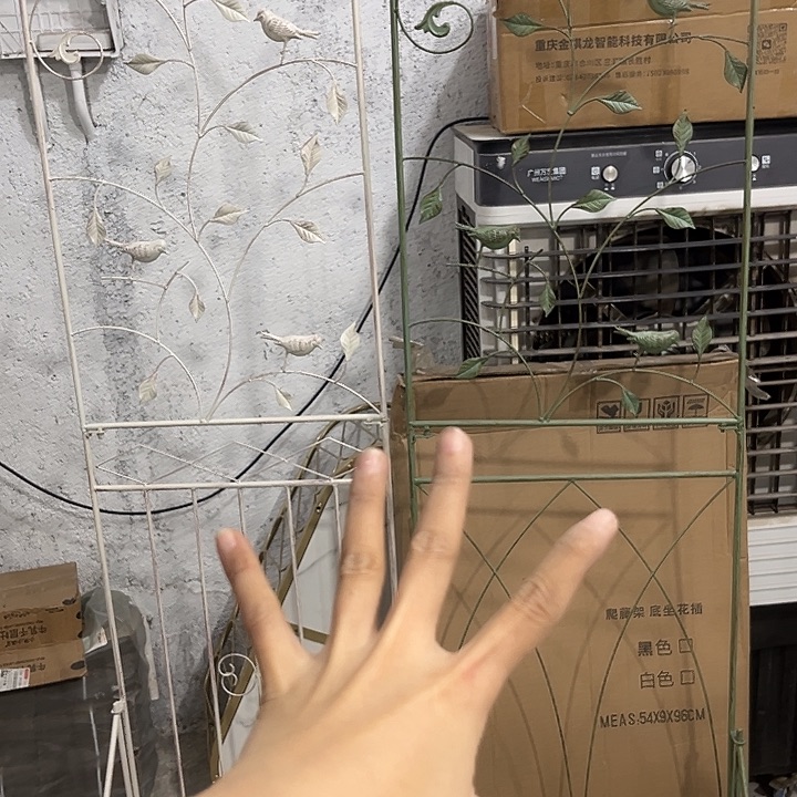 两白两绿两白两绿