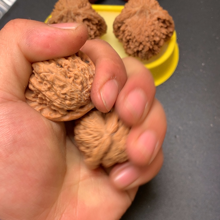 把件文玩核桃37白狮子39