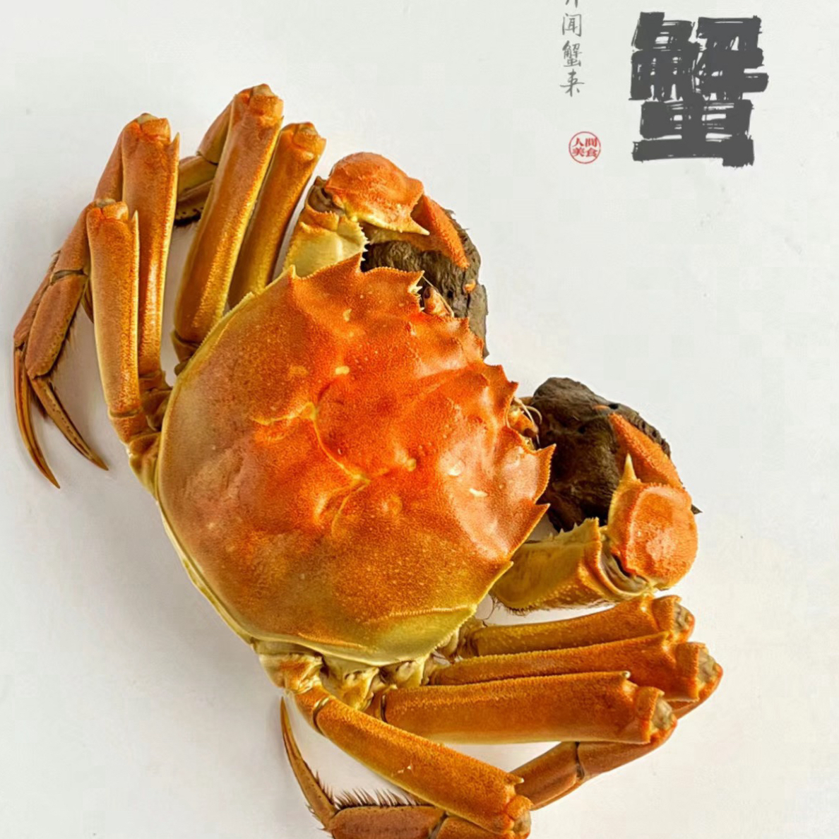江苏闸蟹 公蟹2-3斤（单只约4两，5-8只）鲜活发货