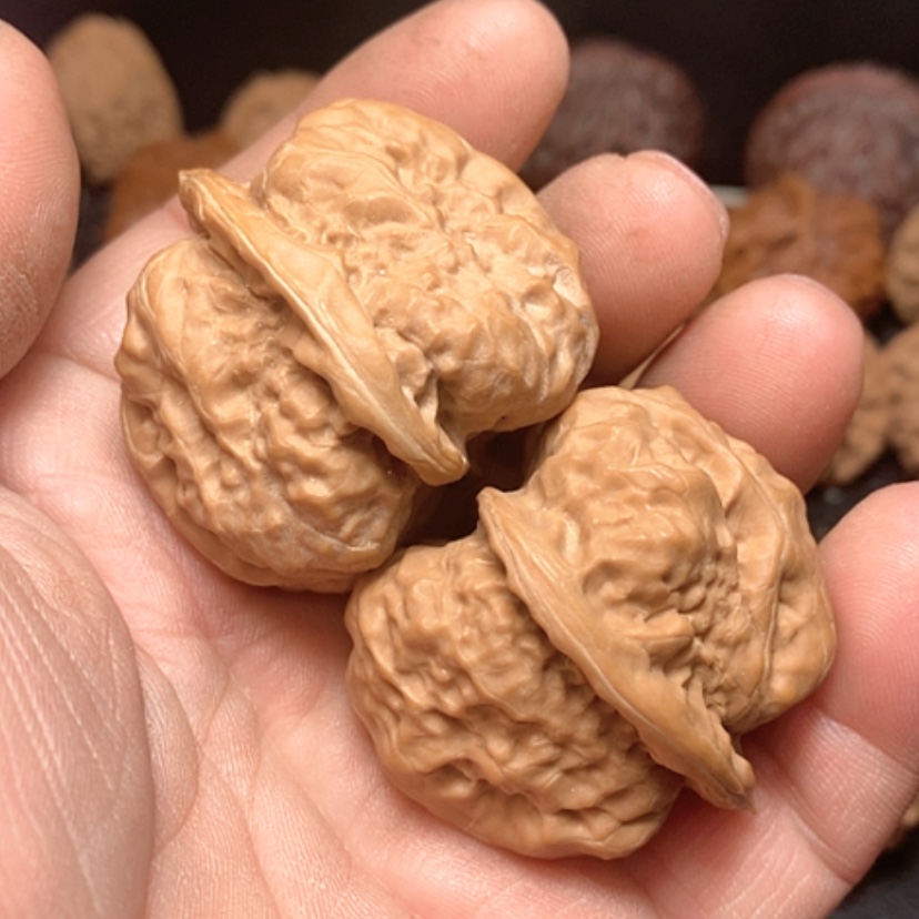 【闪购商品】星*蛤蟆头