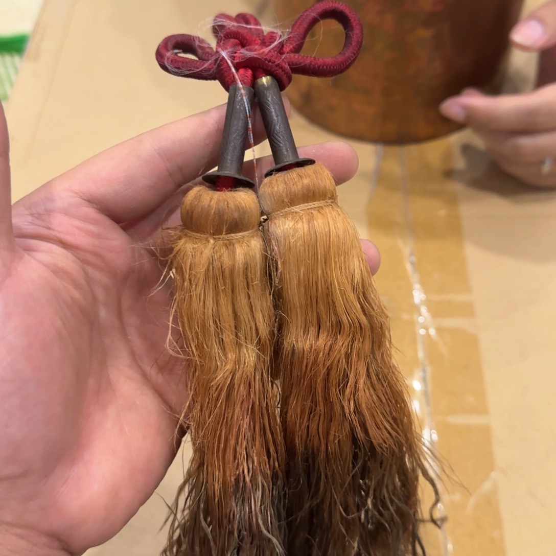 我是一只小小鸟地域鬼的