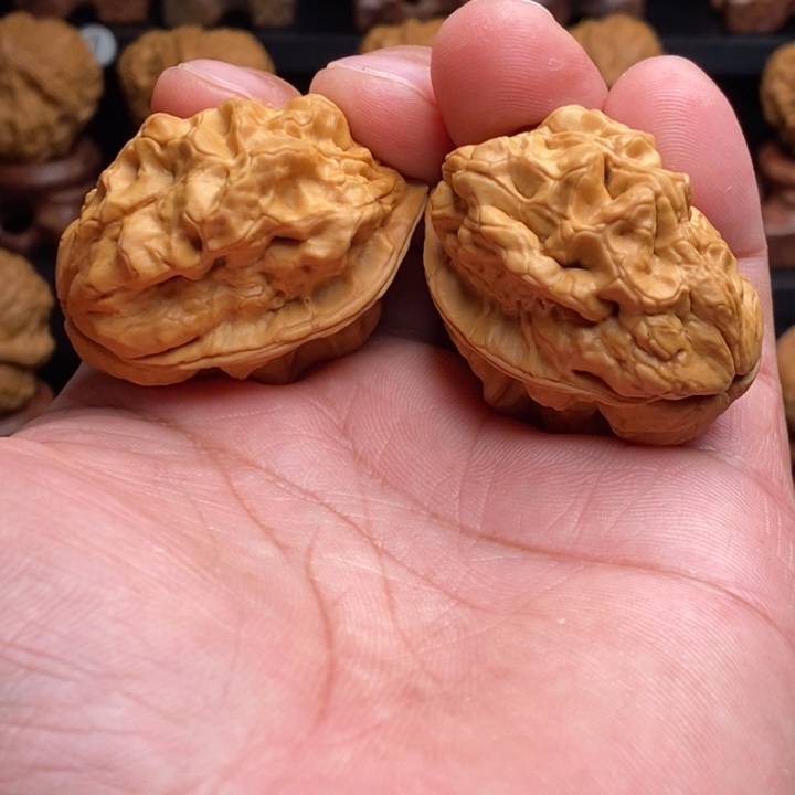把件文玩核桃8毒蝎子