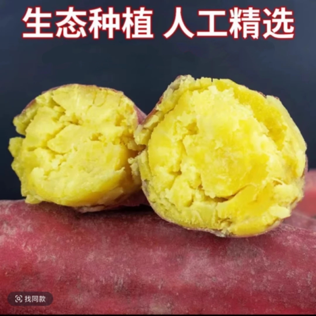 【买3斤送2斤】正宗红薯蜜薯粉糯香甜饱满皮薄现挖J