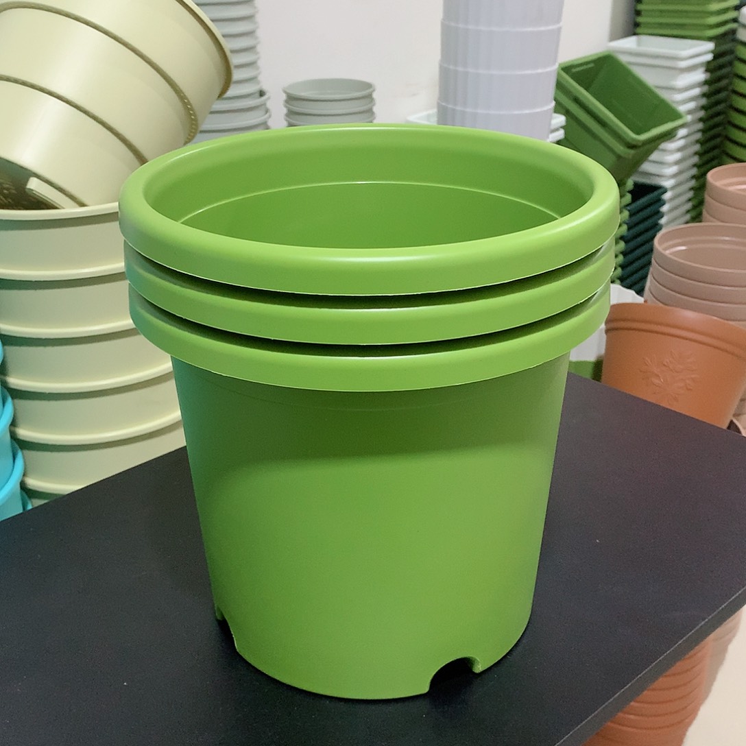 树脂四季口25果绿5个带托