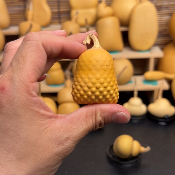 夏*葫芦葫芦葫芦葫芦葫芦葫芦