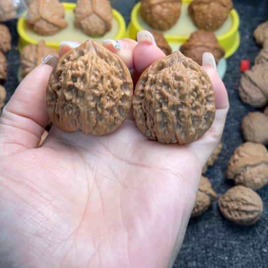 文玩核桃手串6蚂蚁王