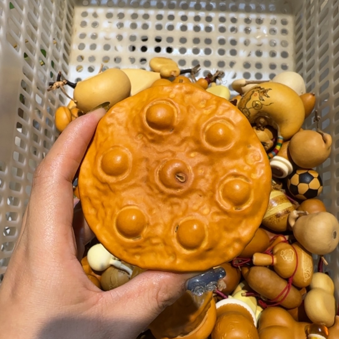 *****哈哈哈哈哈哈哈哈哈哈哈哈