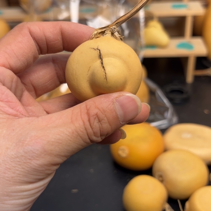 啊**哈2333669999999999