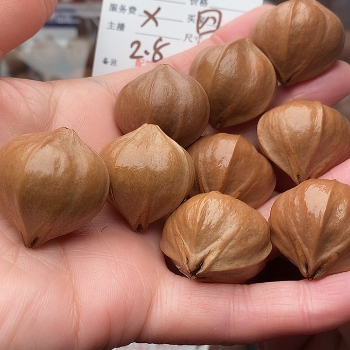 手串/手链橄榄核用****3