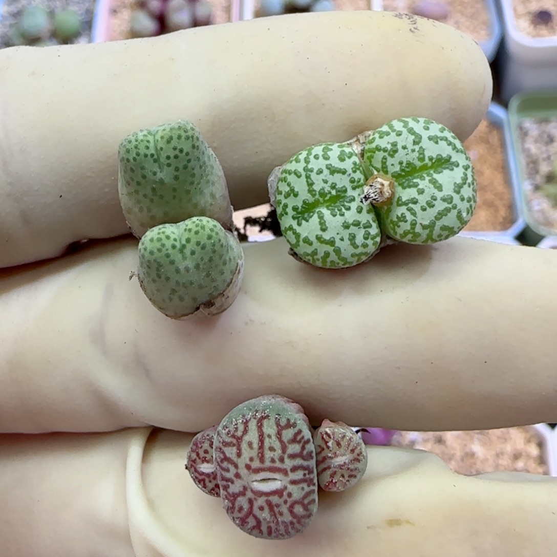 164福利福利福利