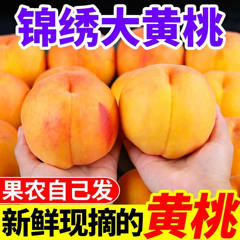 湖北黄桃新鲜现摘黄肉脆甜多汁水蜜桃