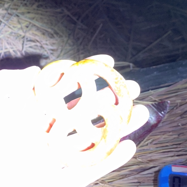 装***计和田玉未镶嵌挂件