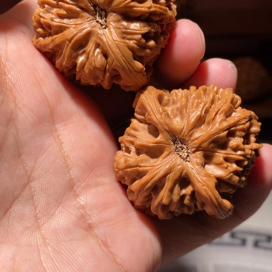 文玩核桃把件007水龙纹45尺微修