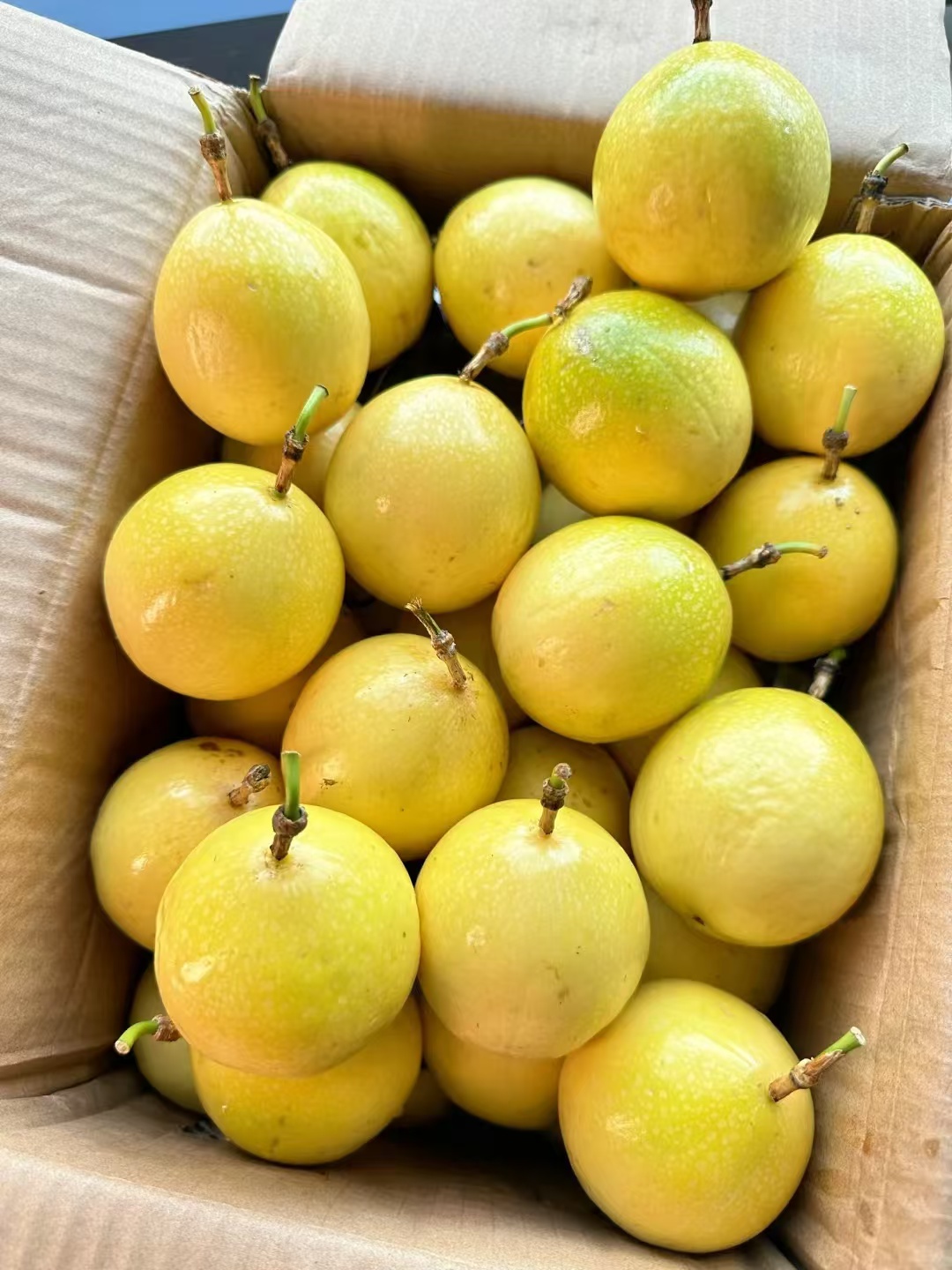 【顺丰包邮】广西钦蜜9号百香果新鲜现摘当季水果鲜甜多汁送开果器