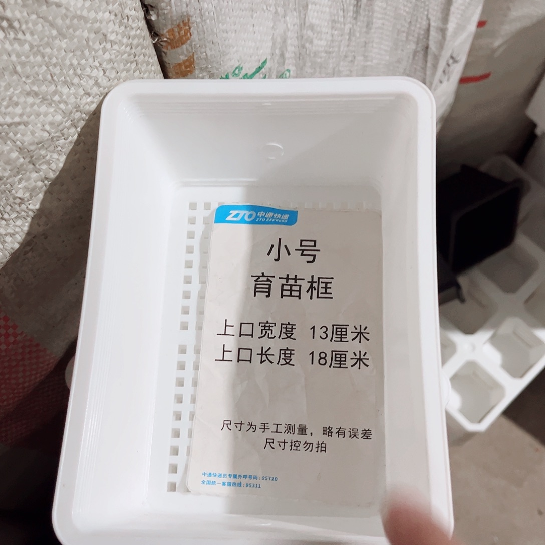 塑料小号育苗框白色10个