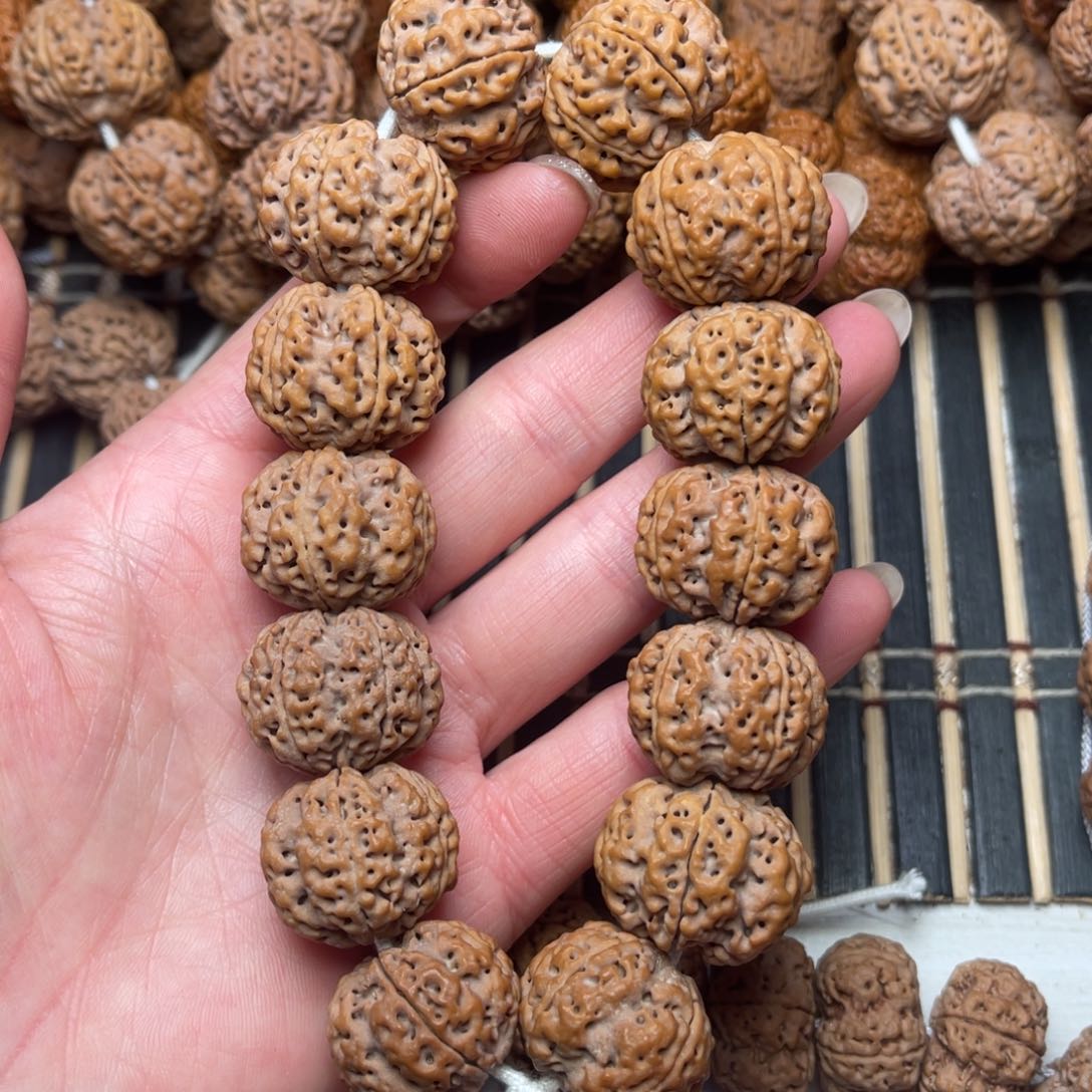 菩提尼泊尔大金刚梁梅花23.5/24