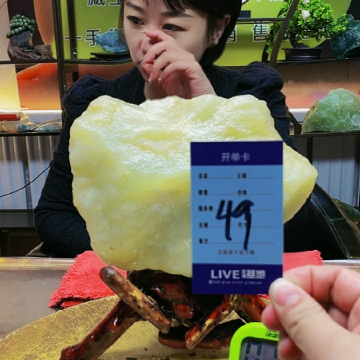 【闪购商品】蛇纹石玉原石未镶嵌?****?