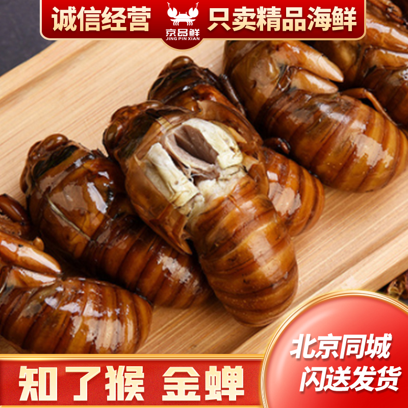 知了的猴到家能活 一份50只 冷冻 蝉猴 爬叉猴 知了 