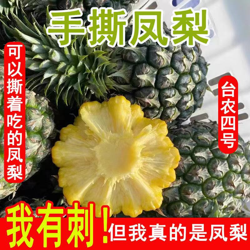 正宗海南琼海手撕凤梨绿皮直接吃的菠萝手撕凤梨产地直发真的很甜