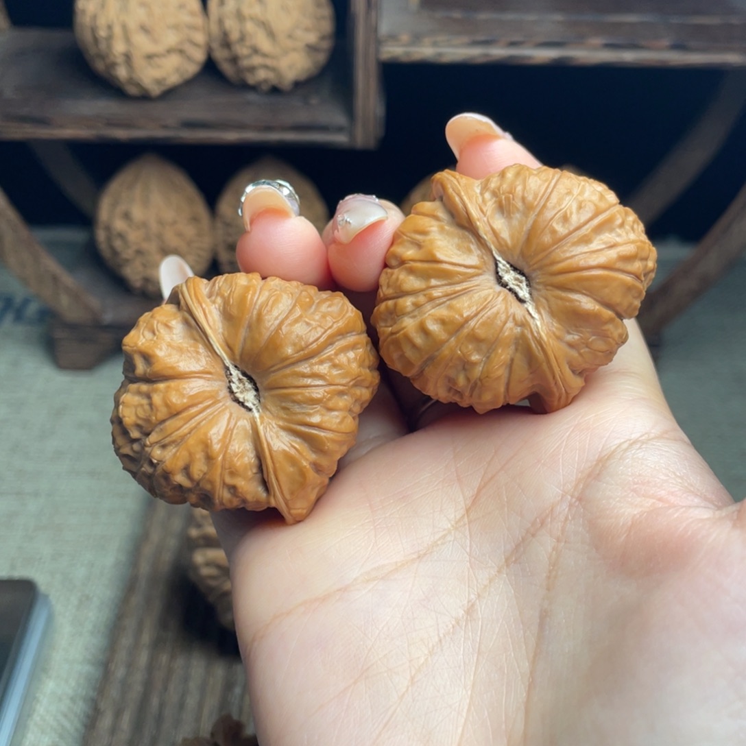 W***ғ木质南瓜42 全品打底精配