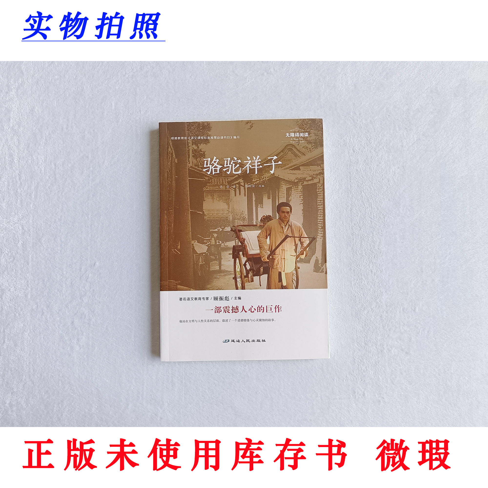 【正版未使用 微瑕】骆驼祥子 阅读1+1工程 无障碍阅读 七年级必读