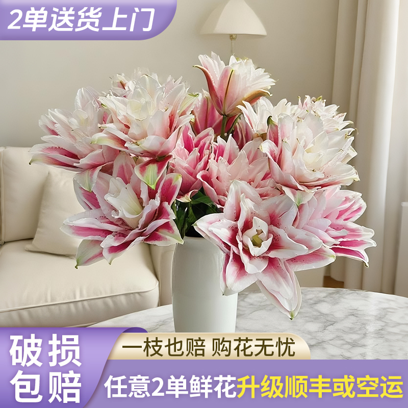 【静静甄选】火星之恋重瓣百合 任意2单鲜花包邮发货后不支持退款