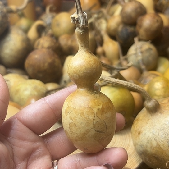 铁*音葫芦葫芦葫芦葫芦