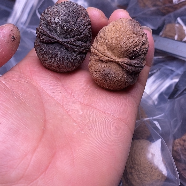 文玩核桃把件   94