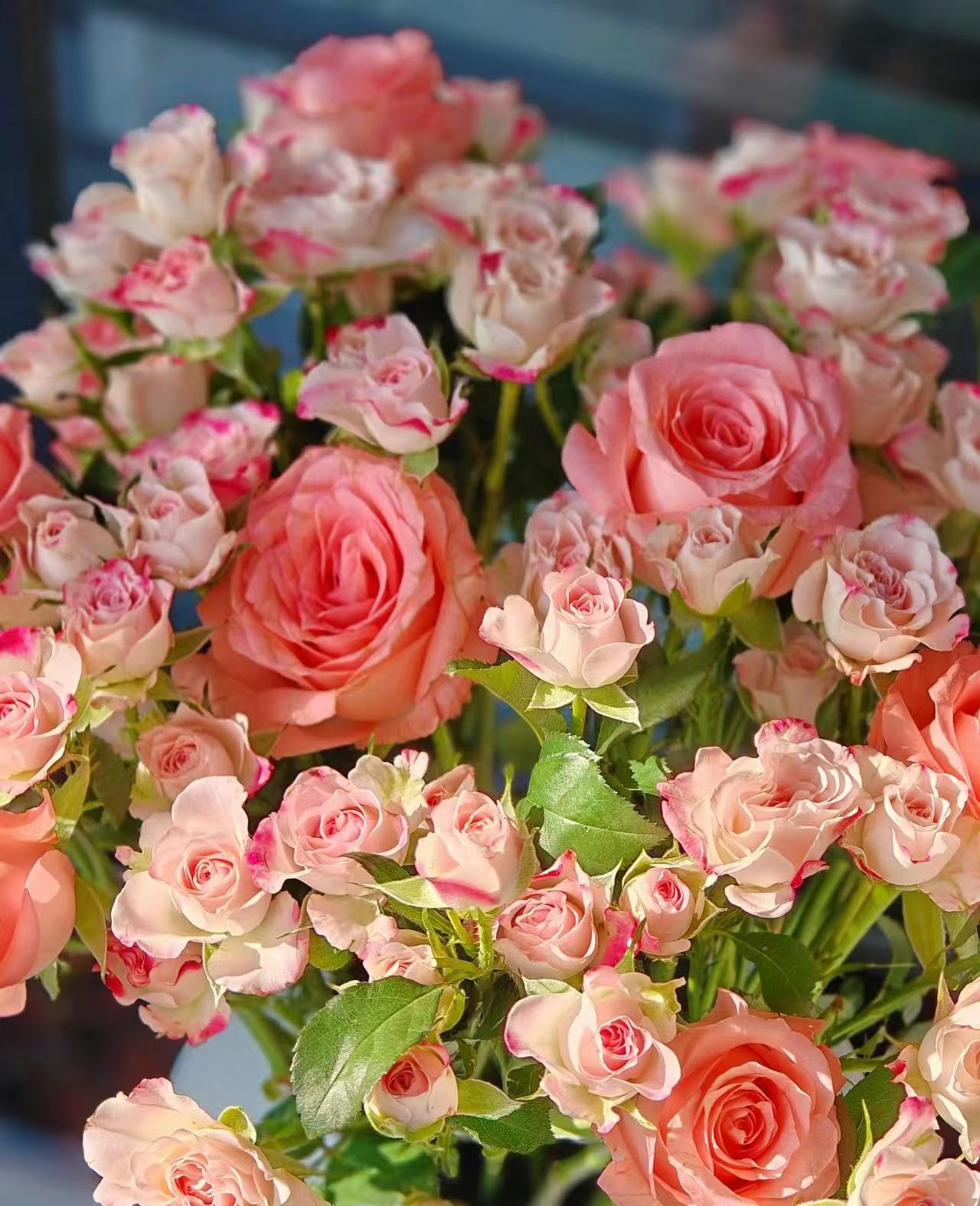 A2套餐：戴安娜+洛神+香水百合+多头折射+康乃馨+洋桔梗+风铃花