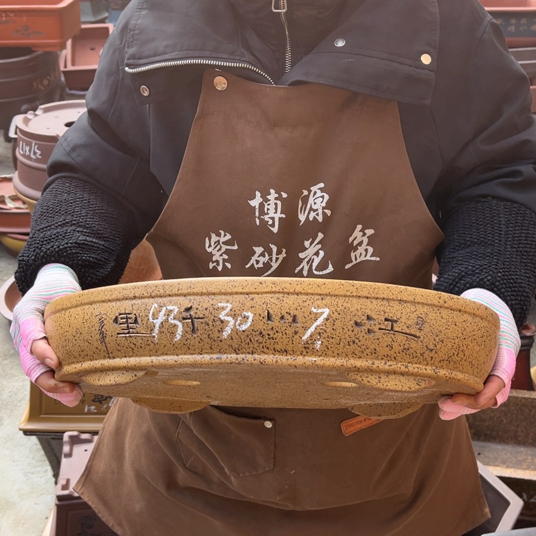 紫砂花盆盆景艺术