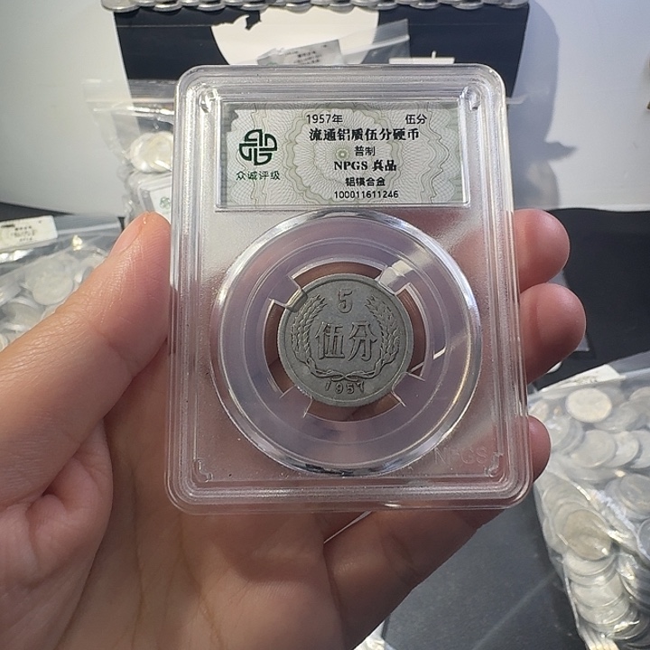孤***鹰一二五分一斤啊啊啊啊