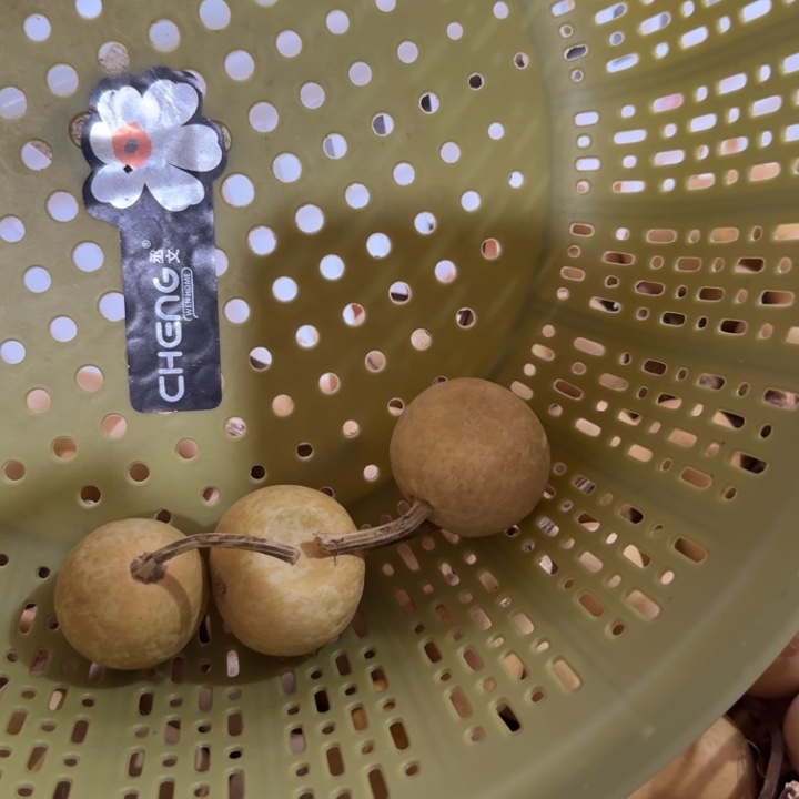 A***.竹类花叶苹果扁葫芦
