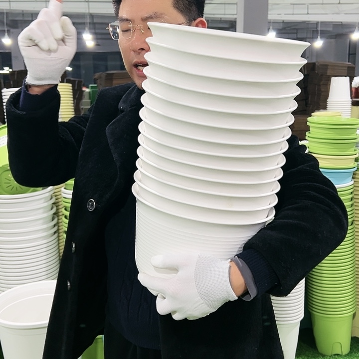 正品矮陶口27高18白色6只无托