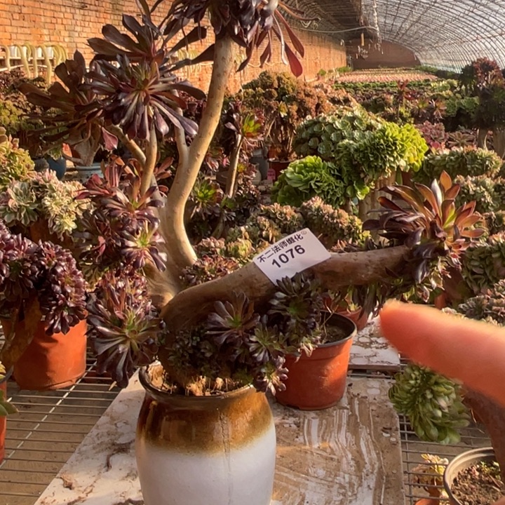 1076，黑法师缀包邮