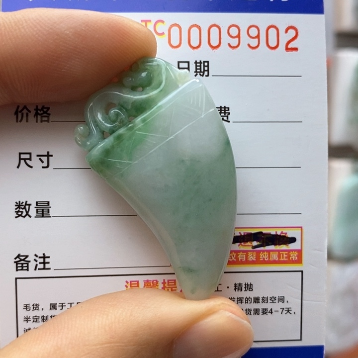 翡翠颈饰未镶嵌每天