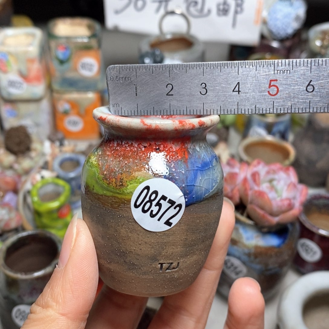 花盆拍5送一个小礼物