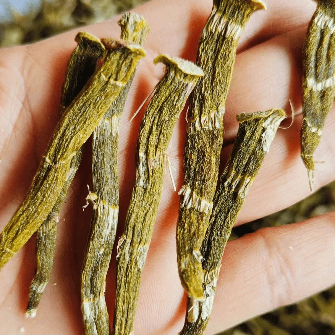 【卖山货】下山珍虫石斛干条