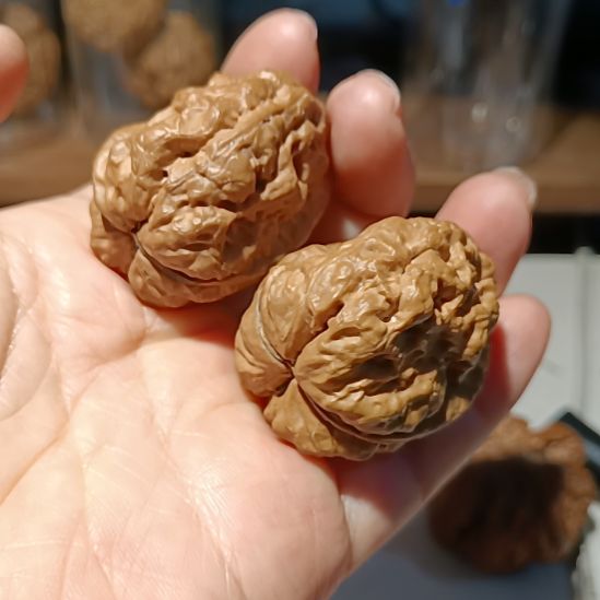 文玩核桃把件9666666666