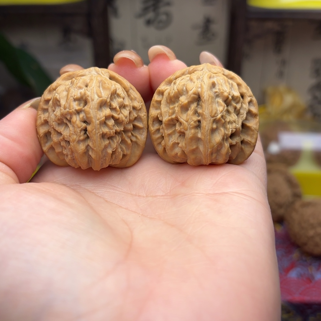 白***杨白狮子头三十五尺