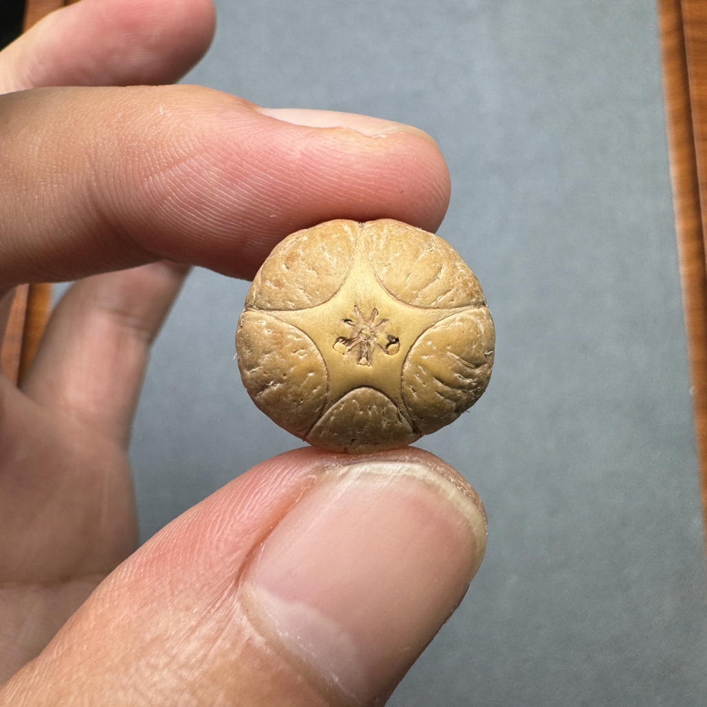精品18+五星上将菩提凤眼菩提三通佛头，非质量问题开孔不退cj2500